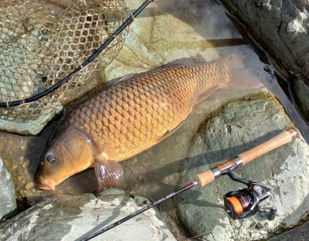 70㎝は釣れたけど 天竜川ルアーフライ専用区